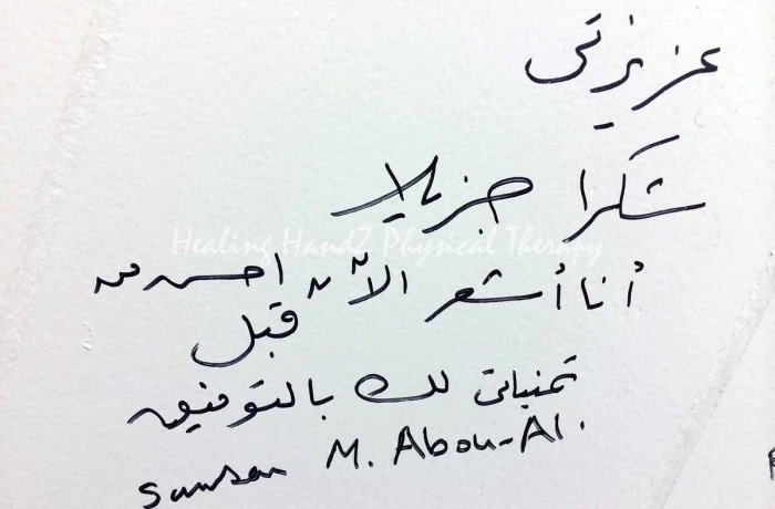 Testimonials: Sawsan Abou-Ali